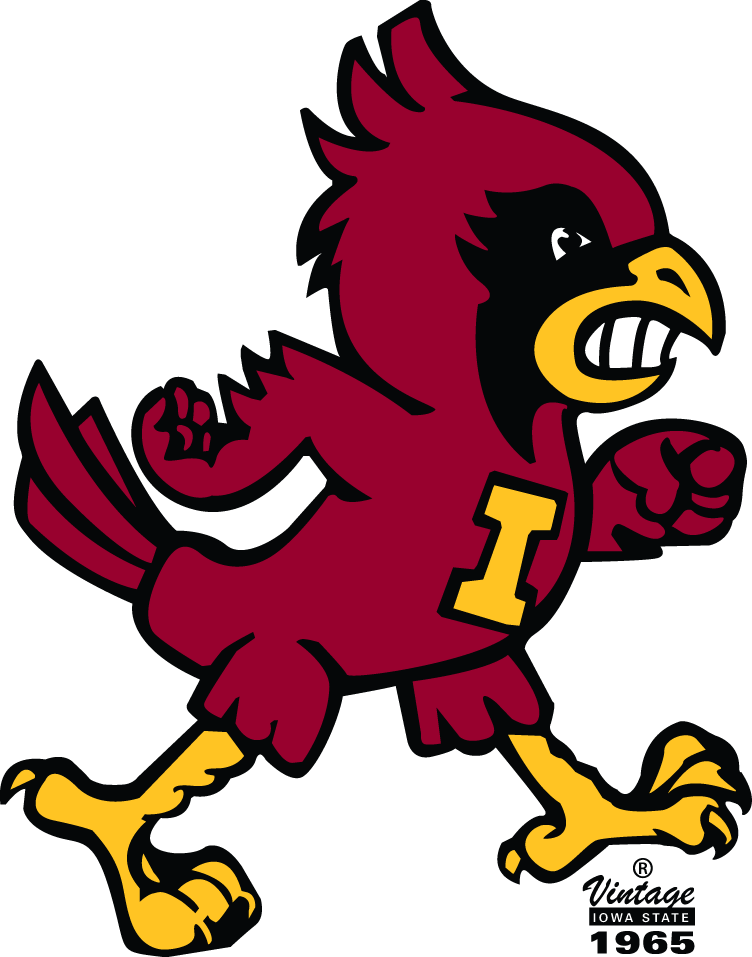 Iowa State Cyclones 1965-1977 Alternate Logo iron on transfers for clothing